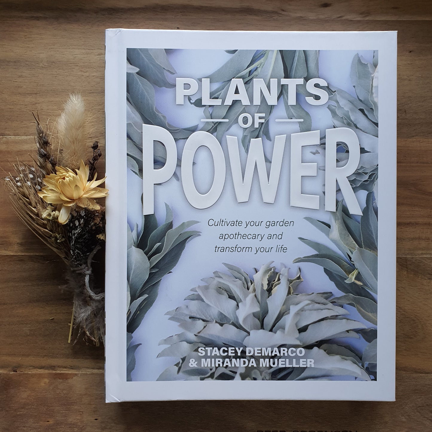 Plants of Power