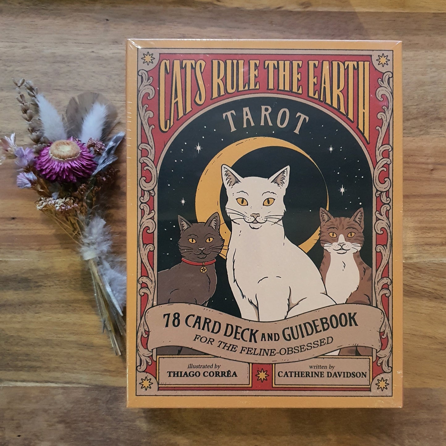 Cats Rule the Earth Tarot