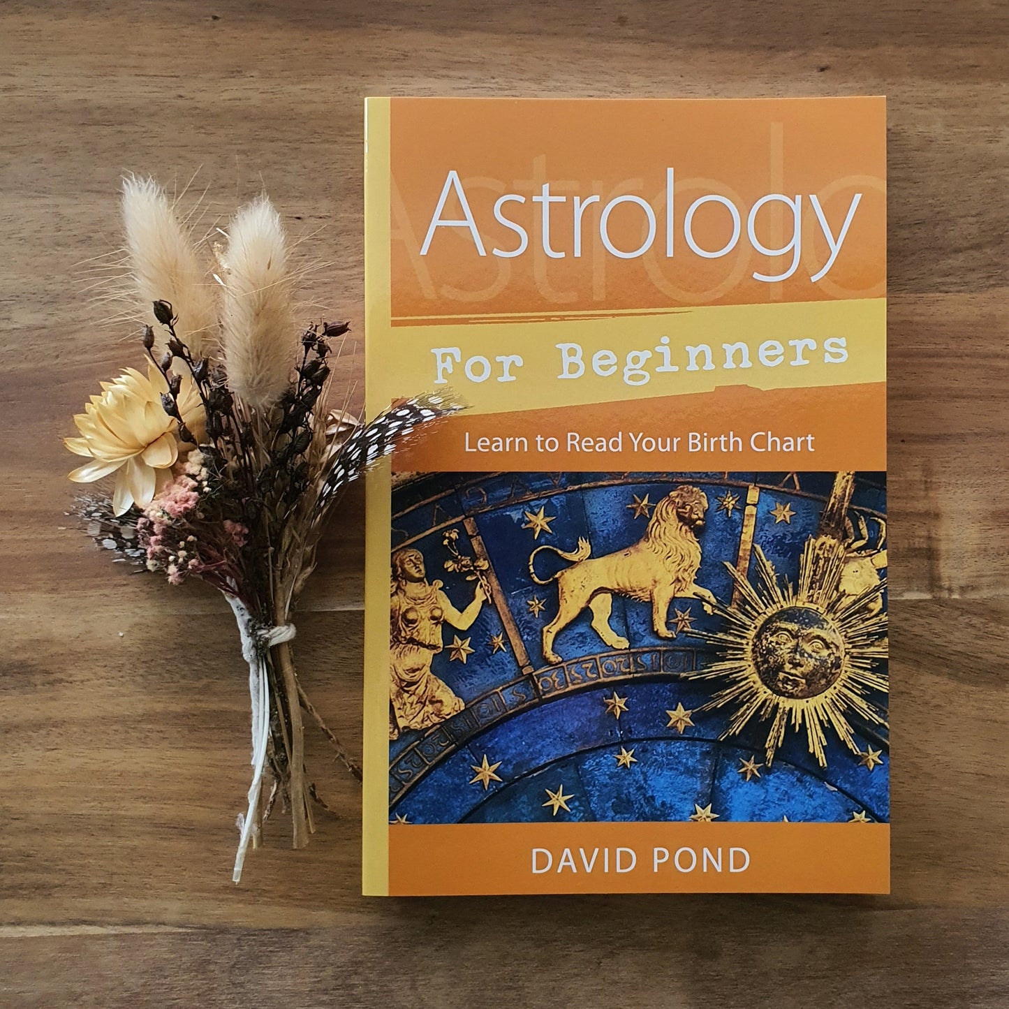Astrology for Beginners