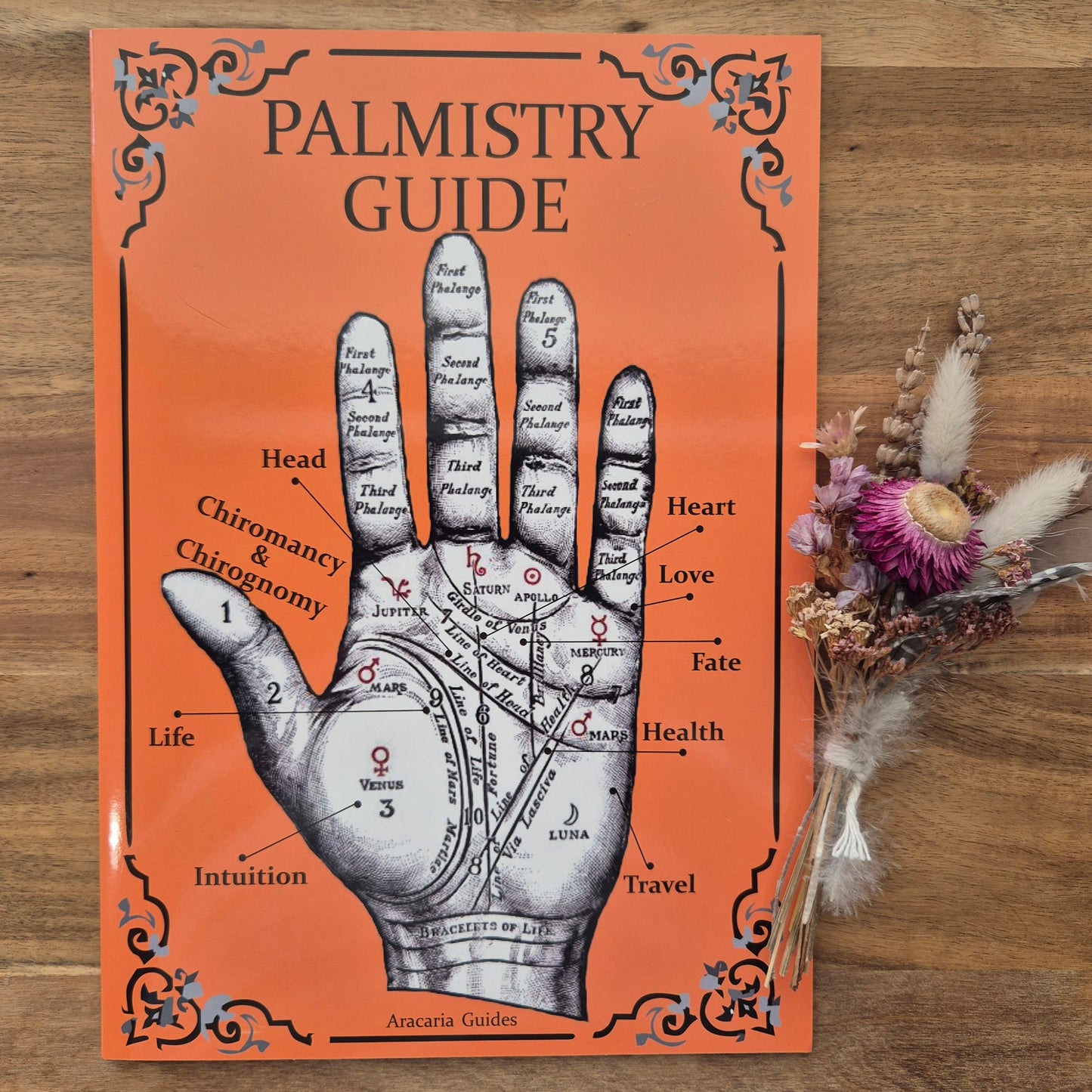Palmistry Guide