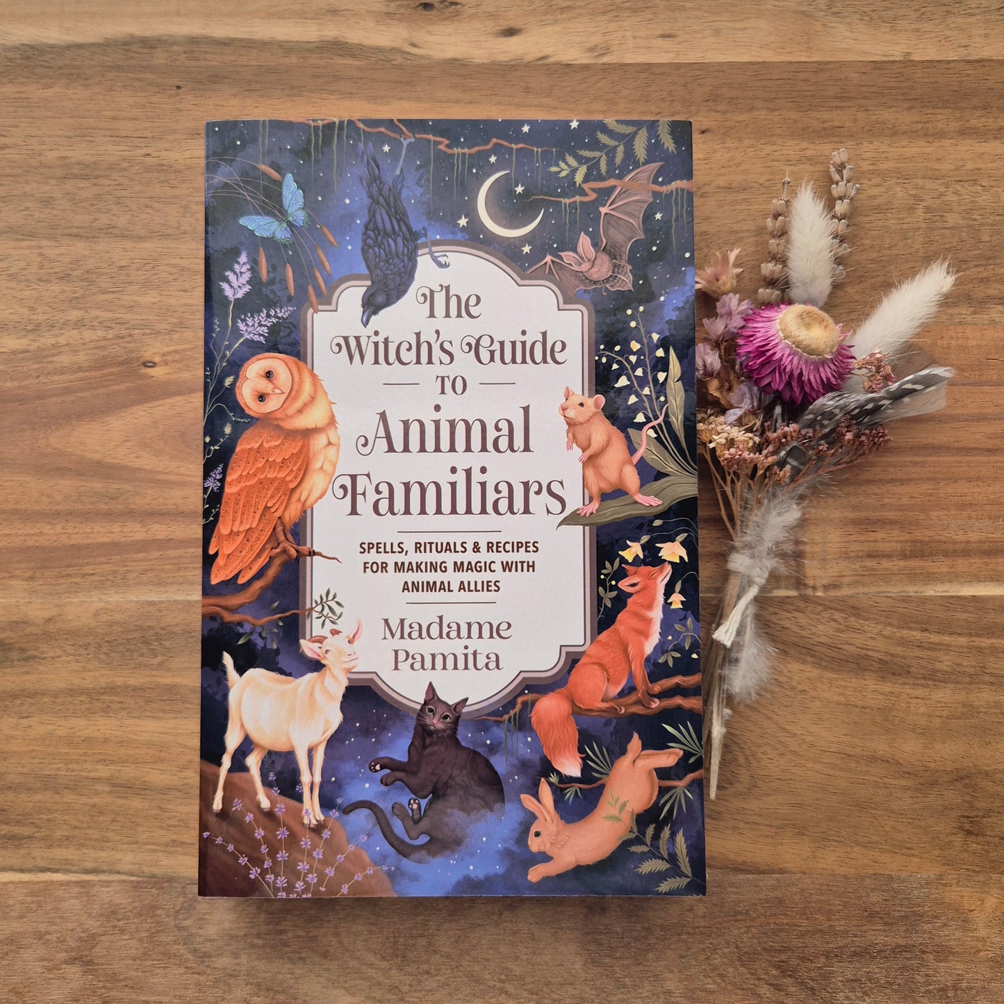 The Witch's Guide to Animal Familiars