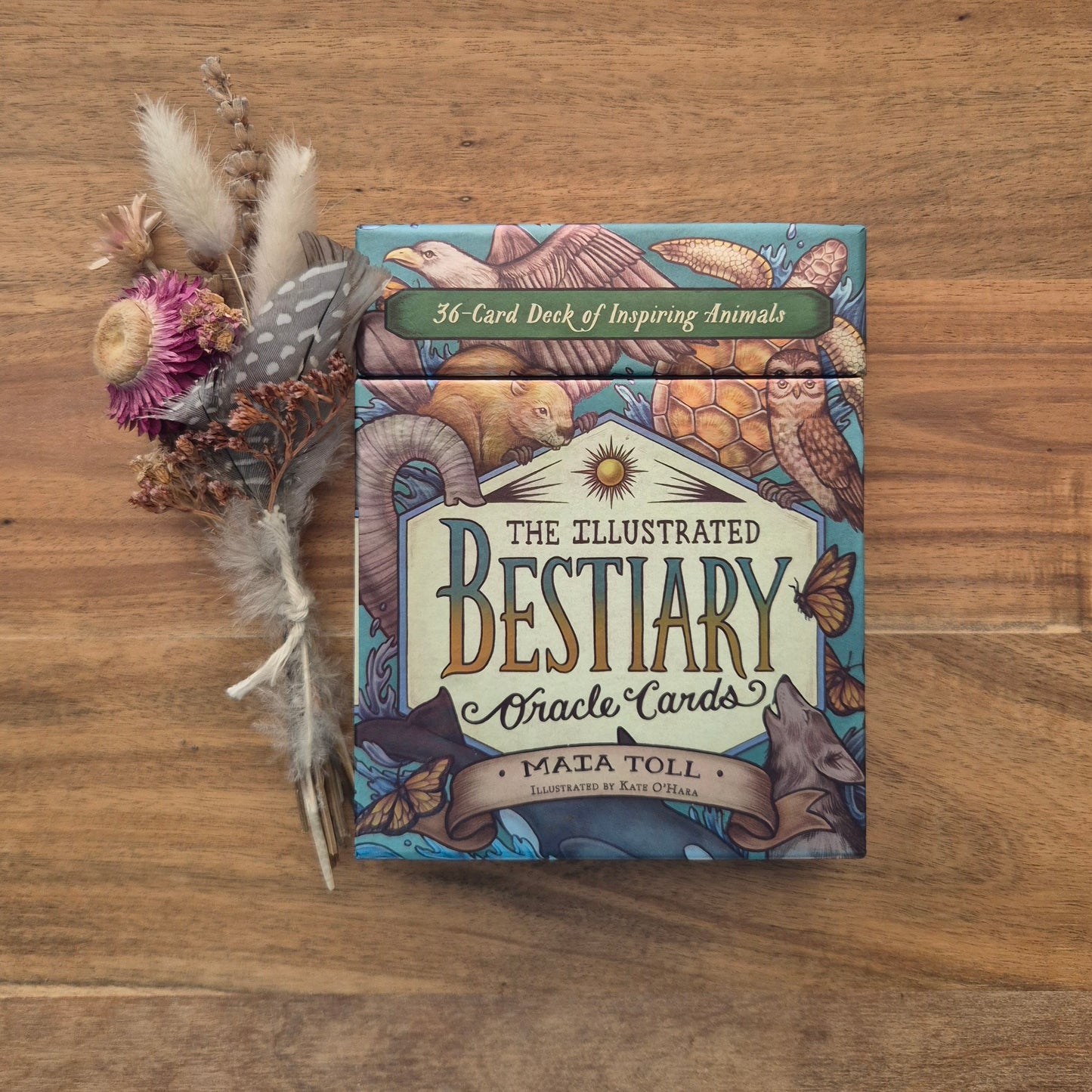 The Illustrated Bestiary Oracle Cards