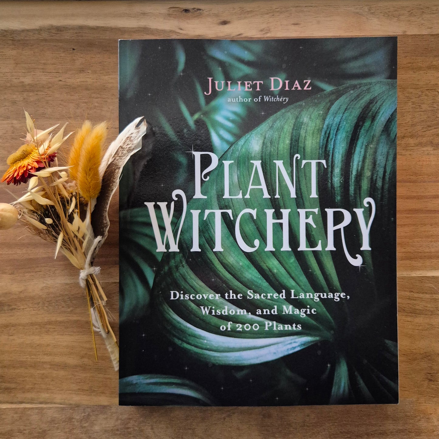 Plant Witchery