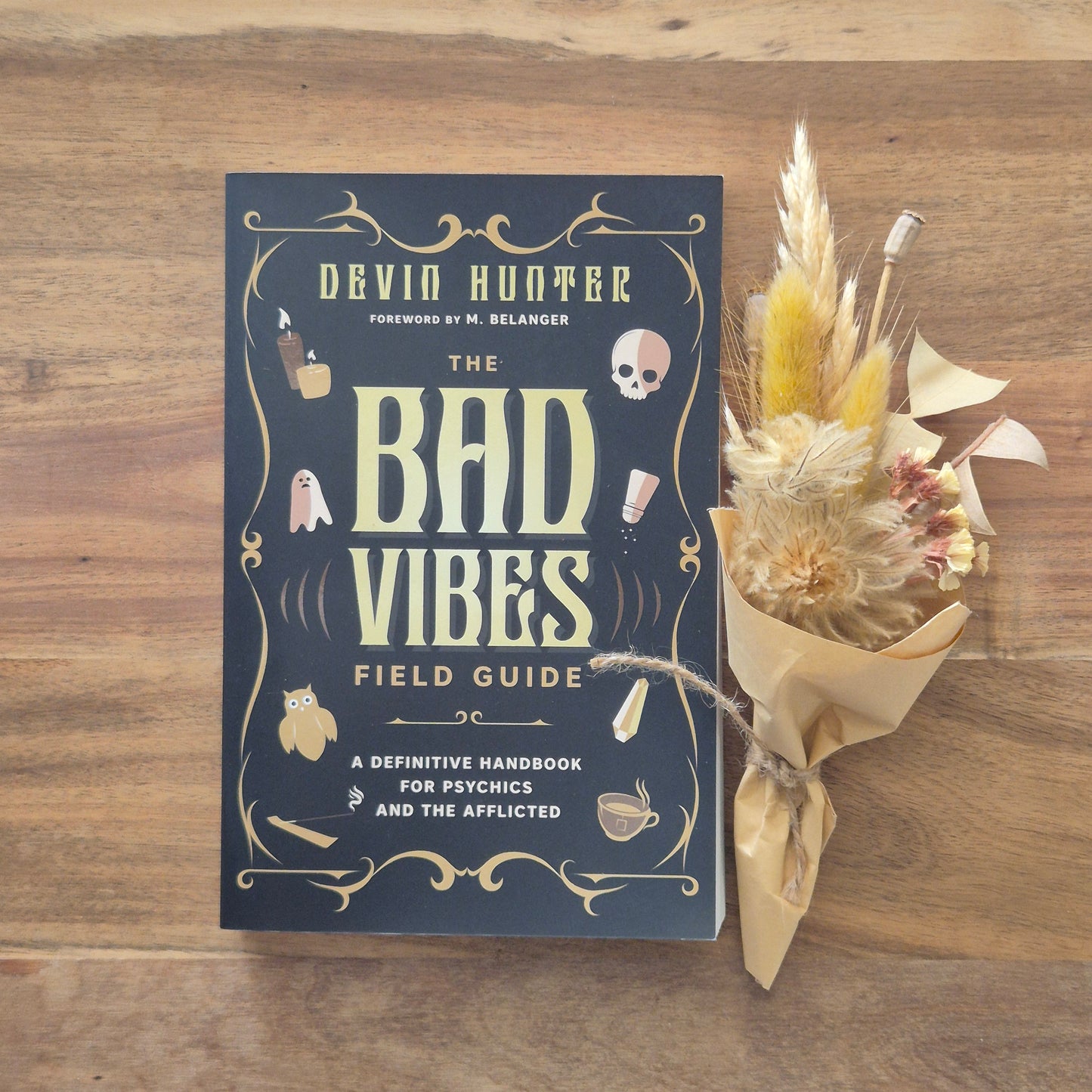 The Bad Vibes Field Guide