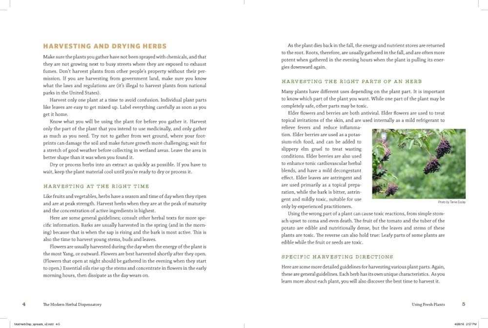 The Modern Herbal Dispensatory