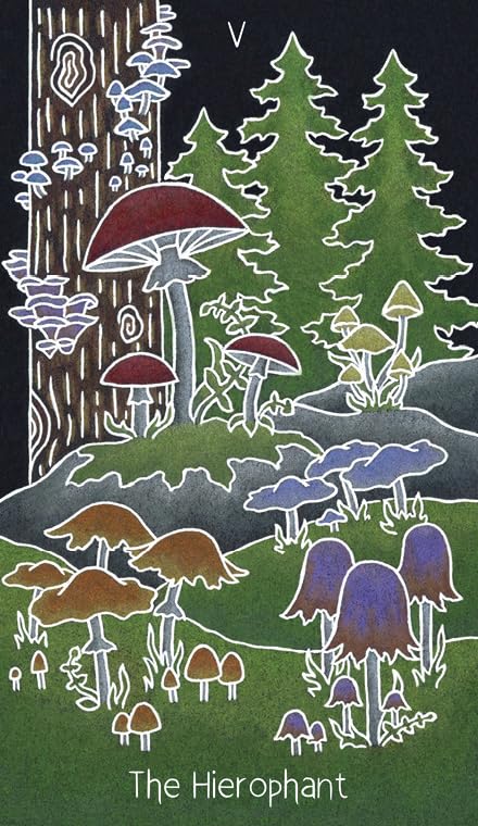 The Animystic Tarot