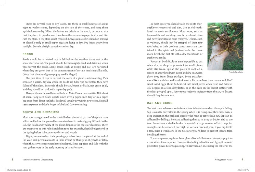 The Modern Herbal Dispensatory