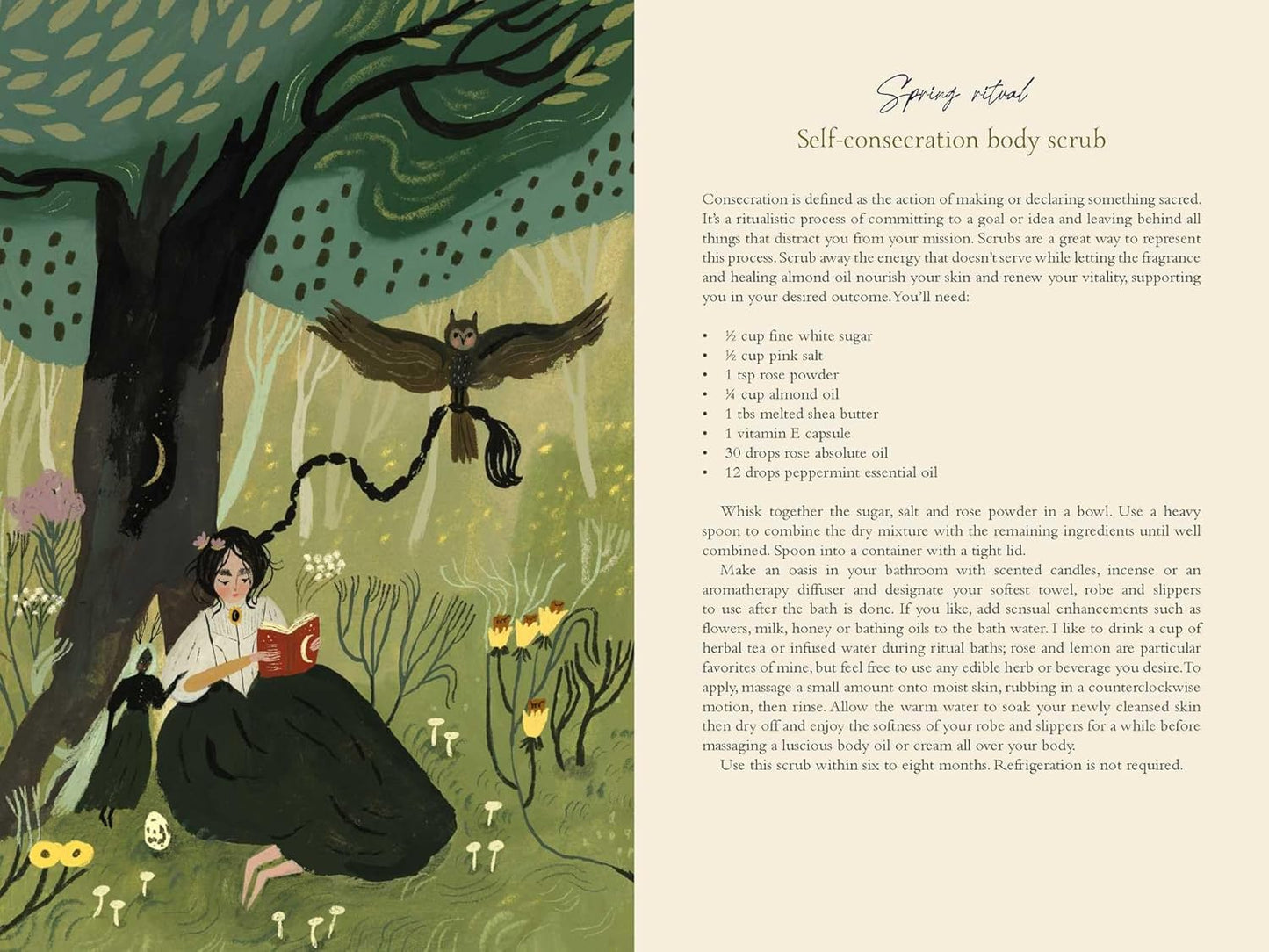 2026 Seasons of the Witch Planner
