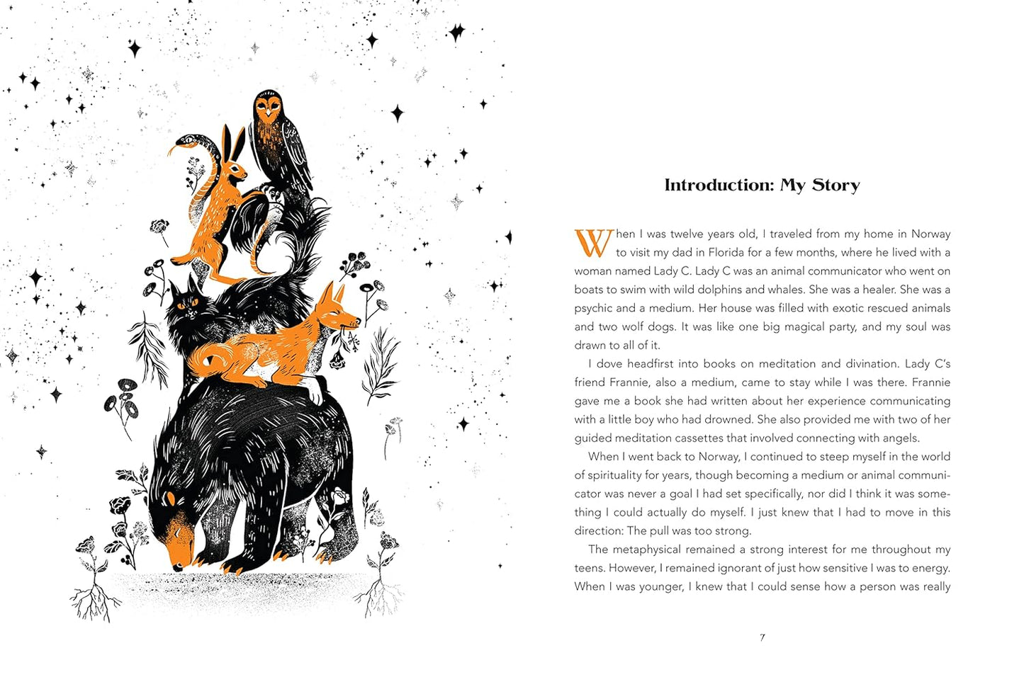 Animal Intuition