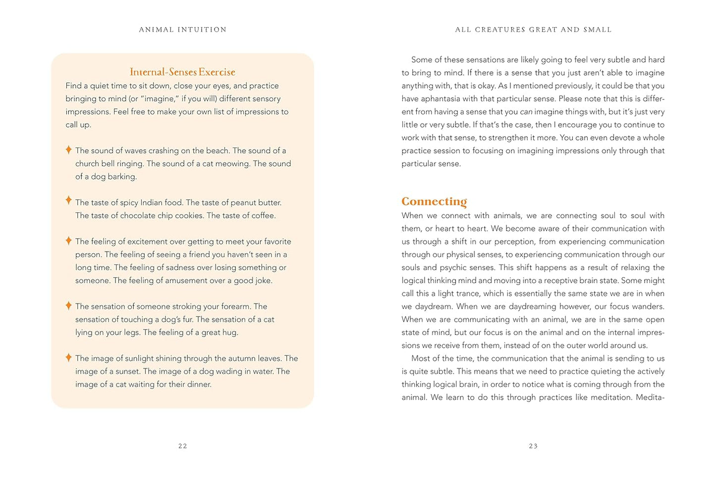 Animal Intuition