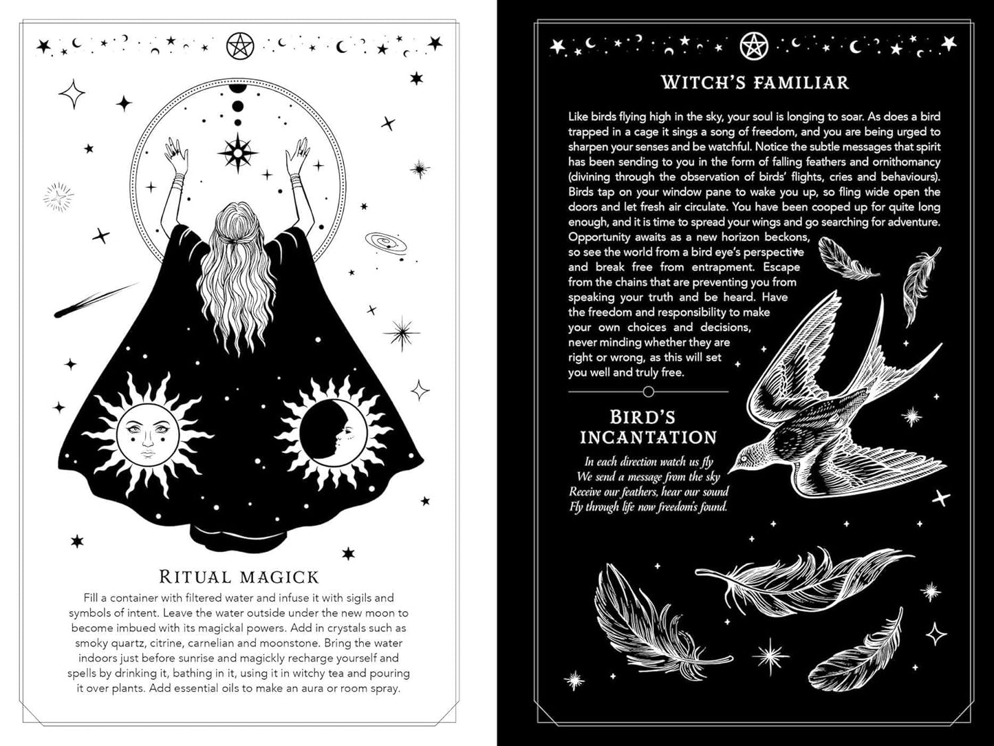 2026 Witch's Diary: Southern Hemisphere