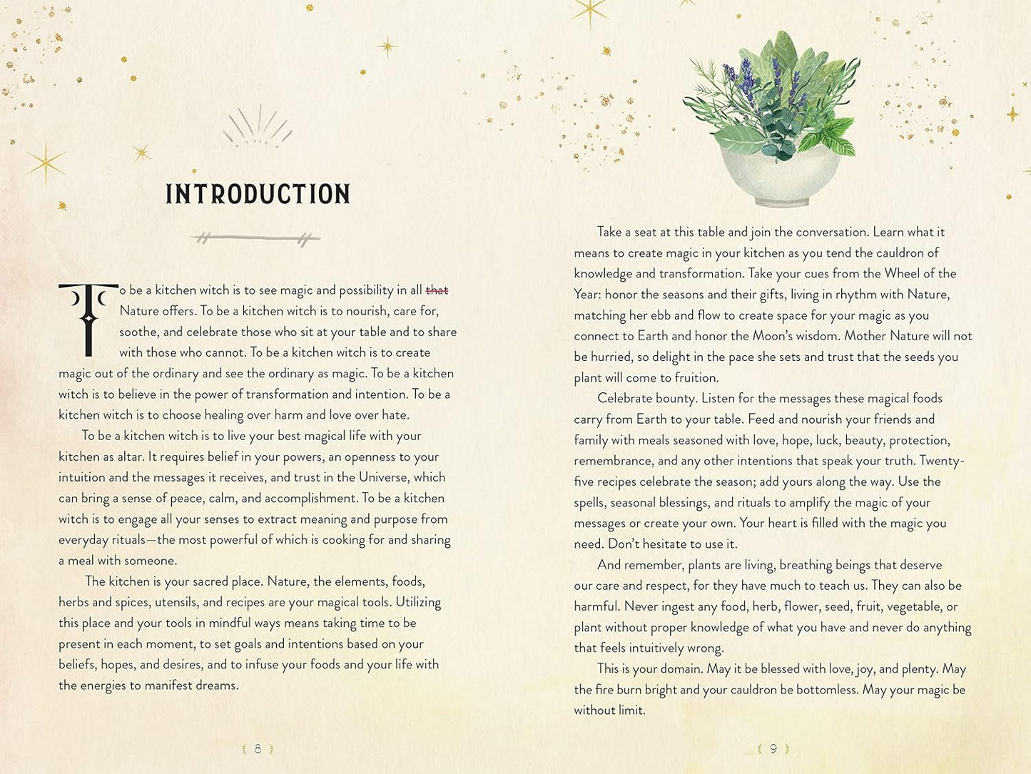 The Kitchen Witch Handbook