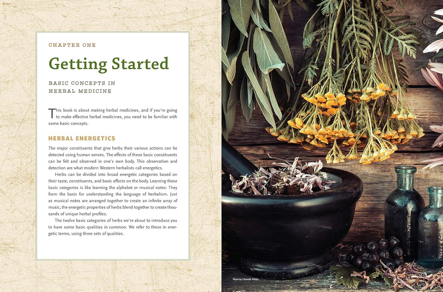 The Modern Herbal Dispensatory
