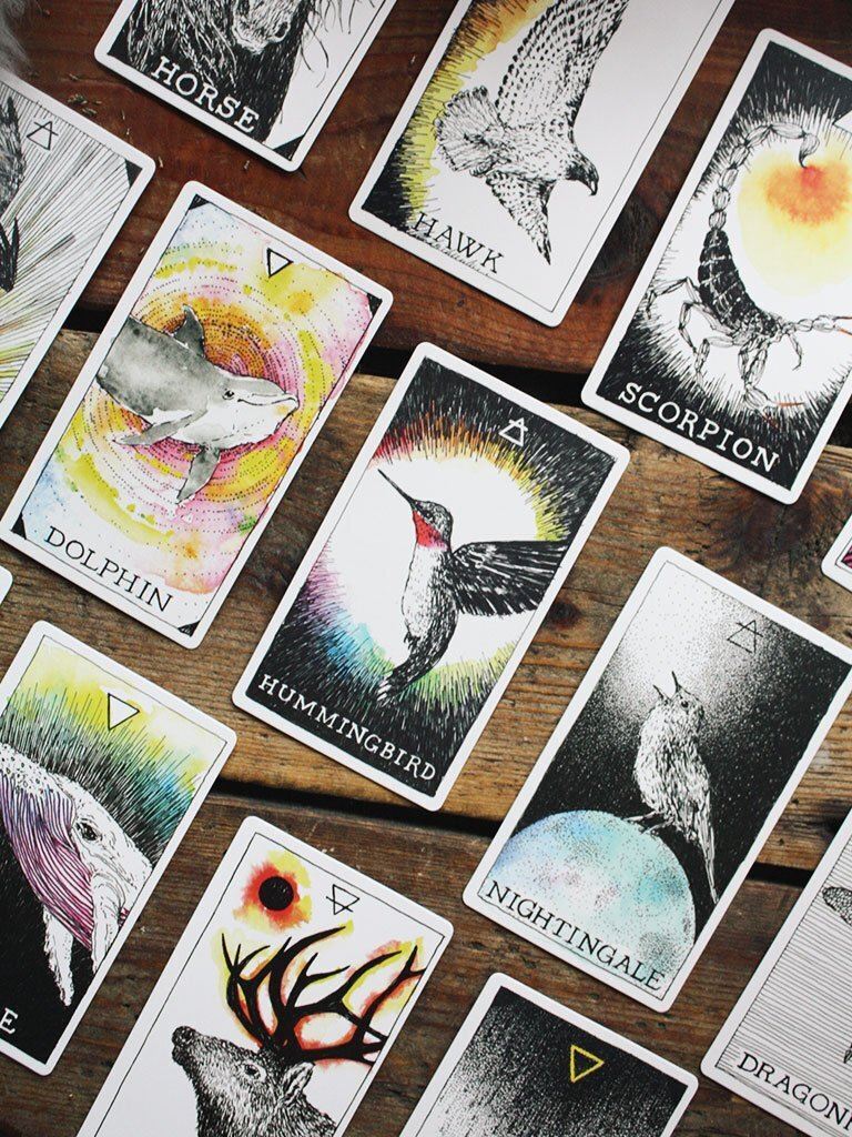 The Wild Unknown Animal Spirit Deck