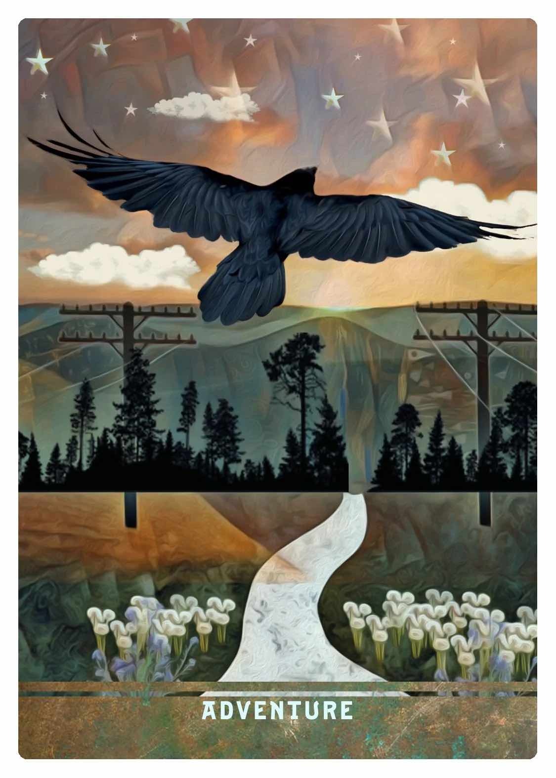 Urban Crow Oracle