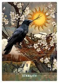 Urban Crow Oracle
