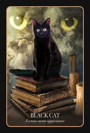 The Halloween Oracle