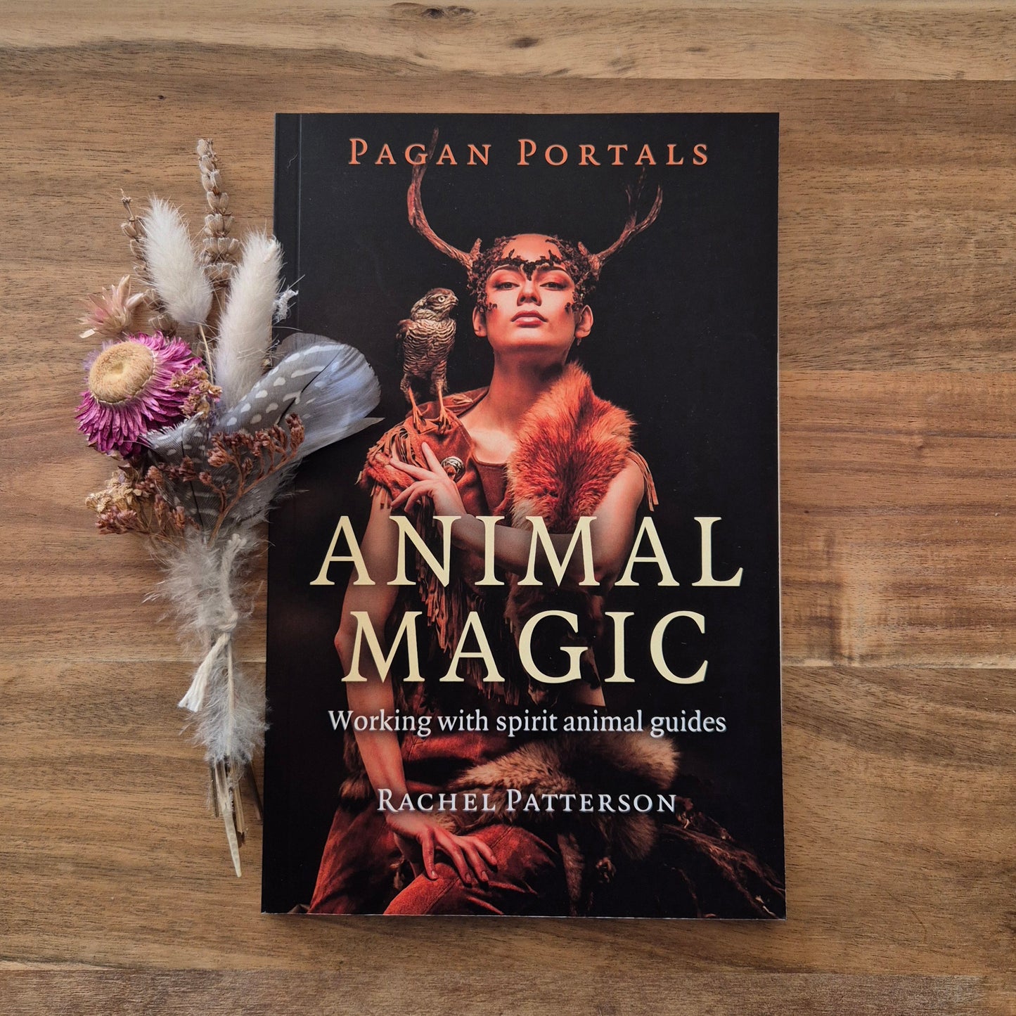 Animal Magic – Pagan Portals