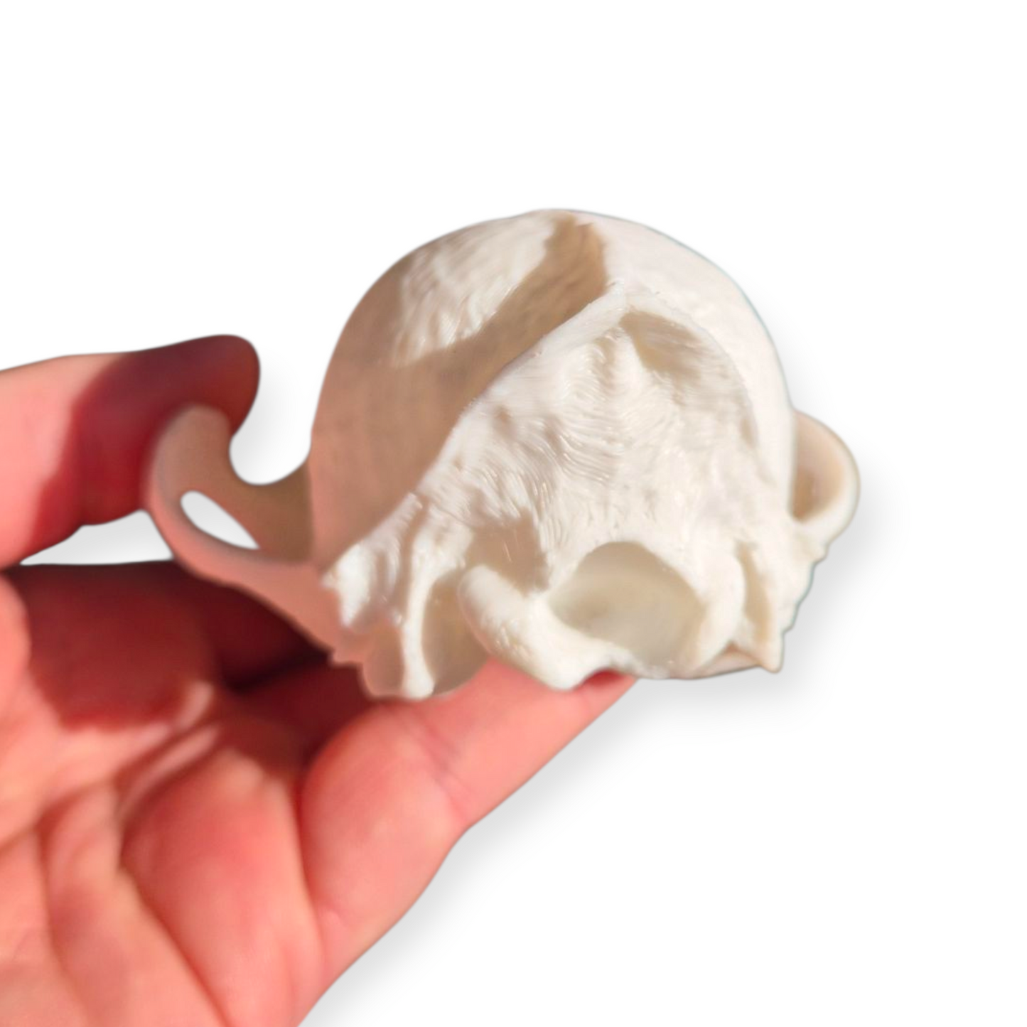 Skull - 3D Printed Fox - Lge
