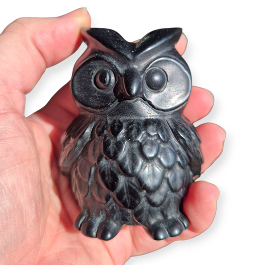 Crystals - Black Obsidian Owl Carving