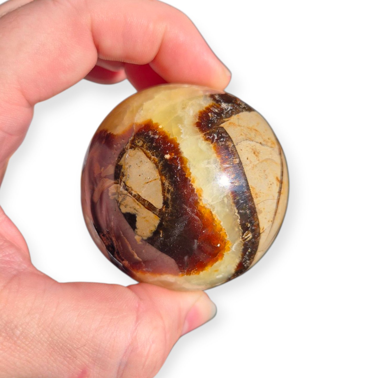 Crystals - Septarian Sphere