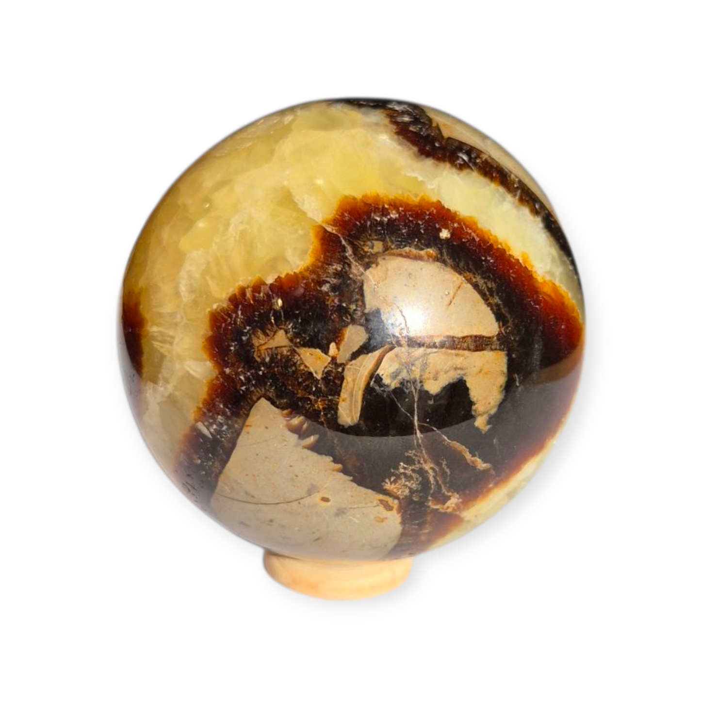 Crystals - Septarian Sphere