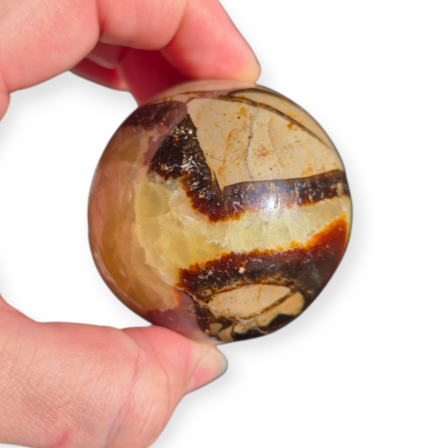 Crystals - Septarian Sphere