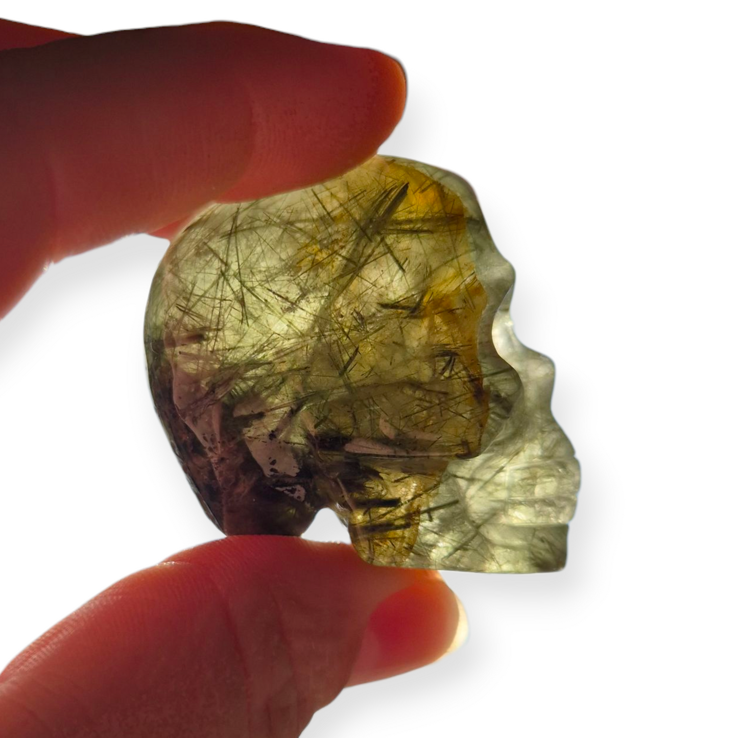 Crystals -  Epidote in Prehnite Skull