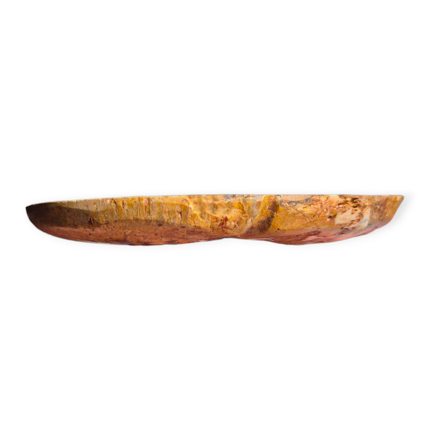 Crystals - Ammonite Fossil