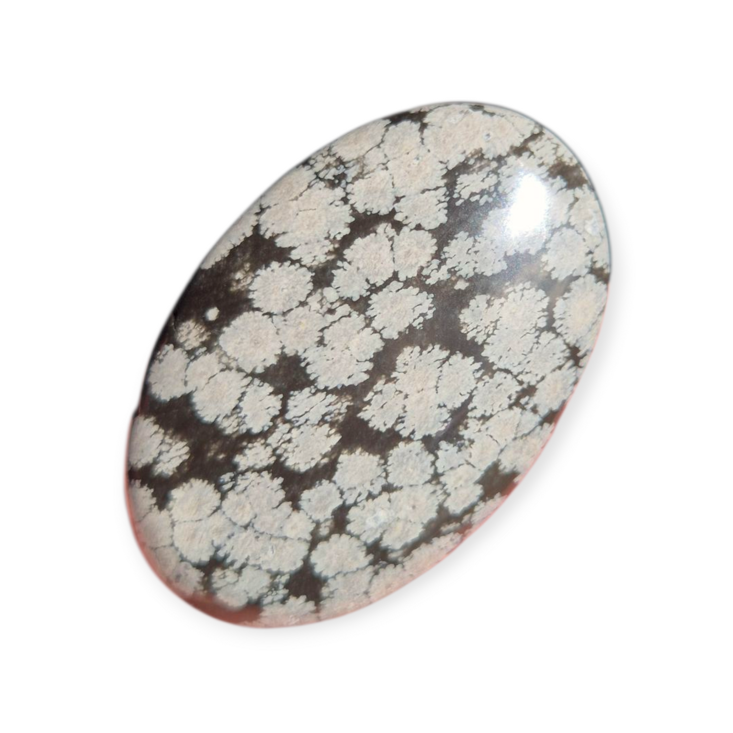 Crystals - Snowflake Obsidian Palmstone