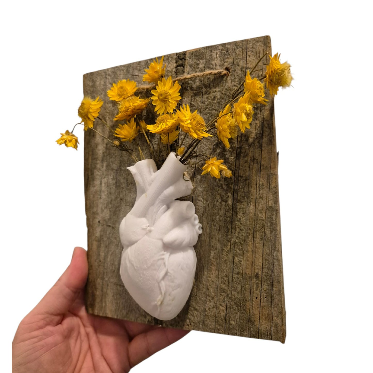 Anatomical Heart Vase