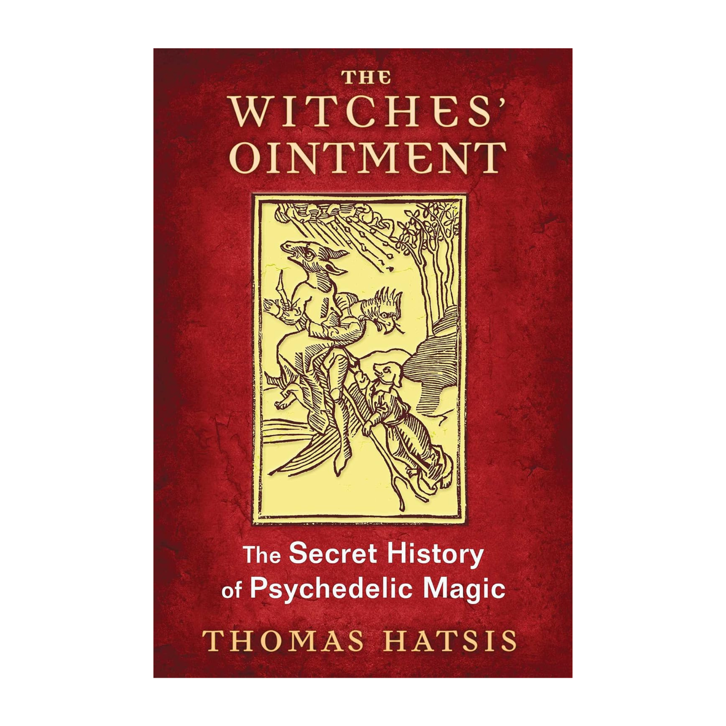 The Witches' Ointment