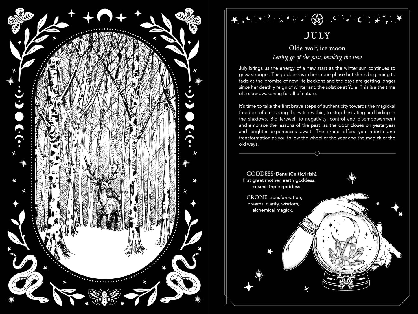 2026 Witch's Diary: Southern Hemisphere