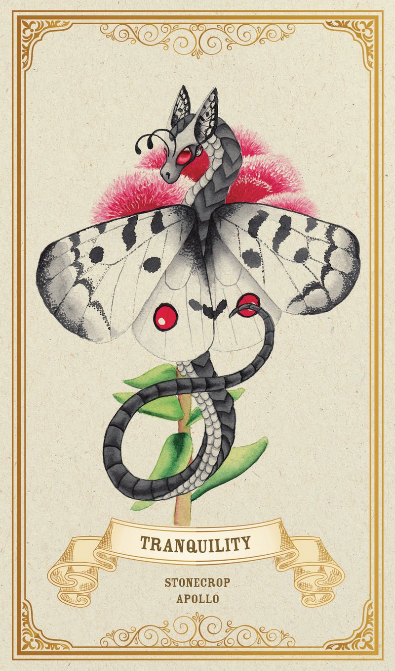 Enchanted Blossoms Empowerment Oracle Cards