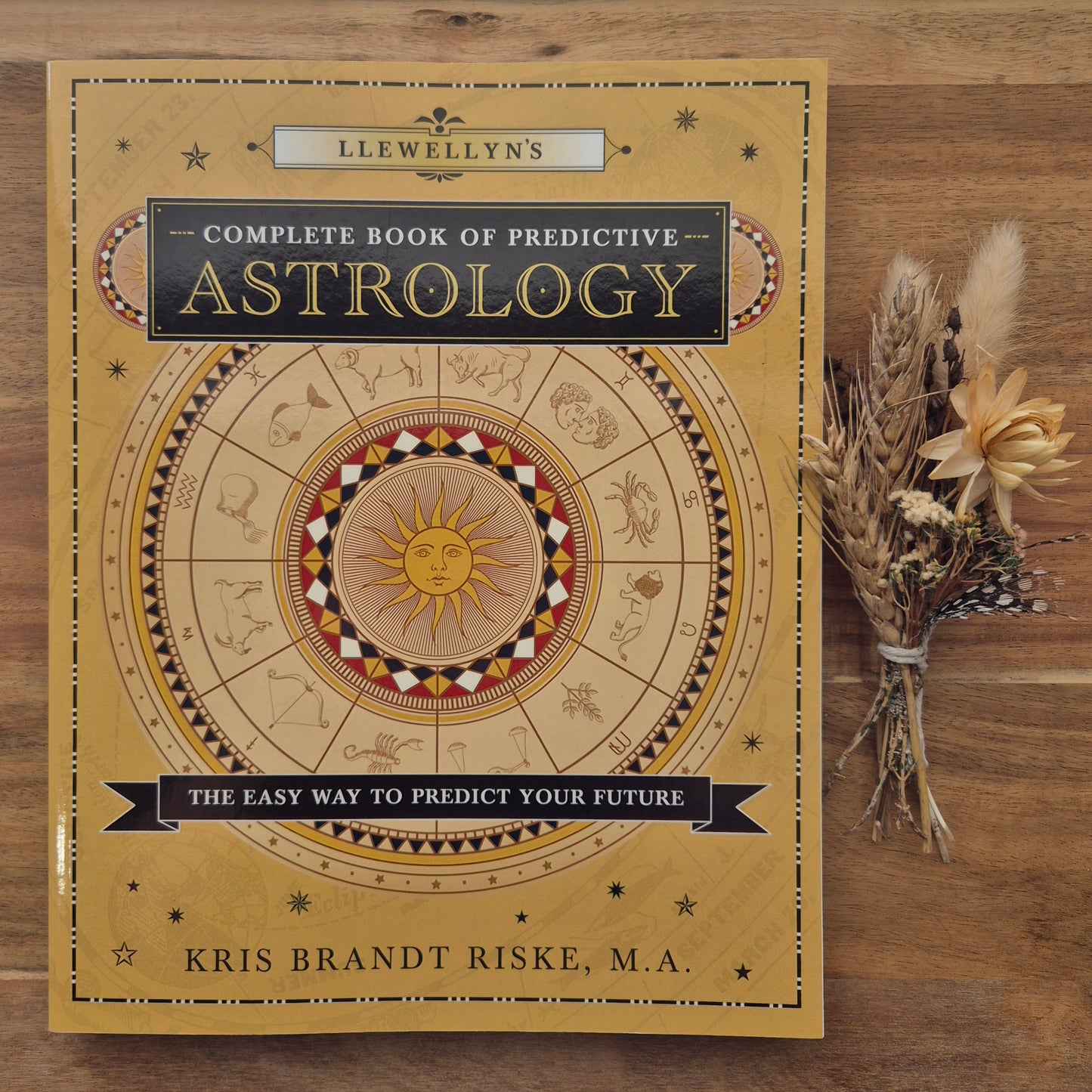 Llewellyn's Complete Book of Predictive Astrology