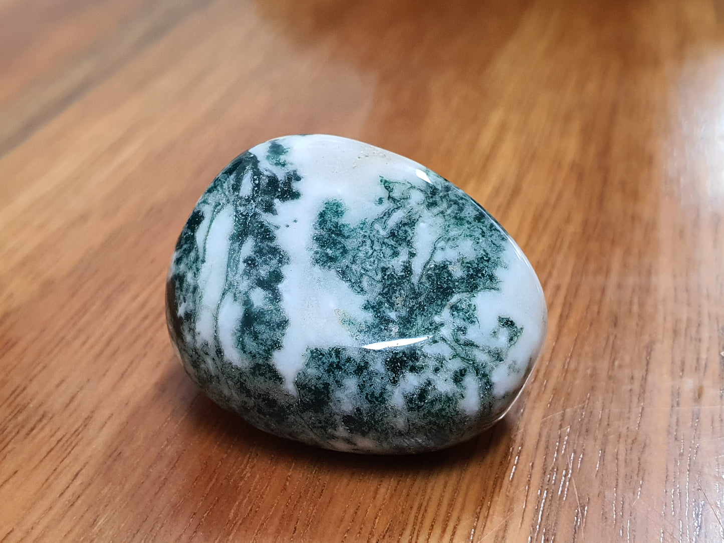 Crystals - Tree Agate Tumbled Stone