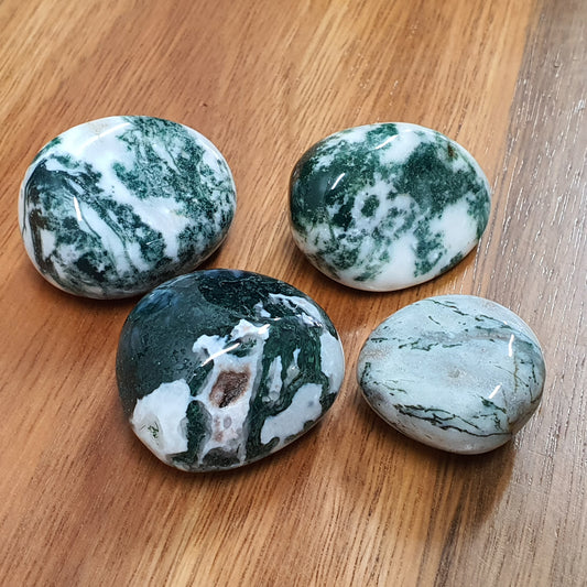 Crystals - Tree Agate Tumbled Stone