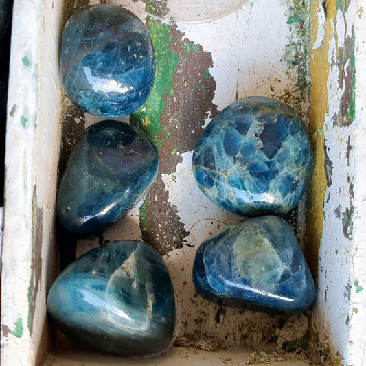Crystals - Apatite (Blue) Tumbled Stone