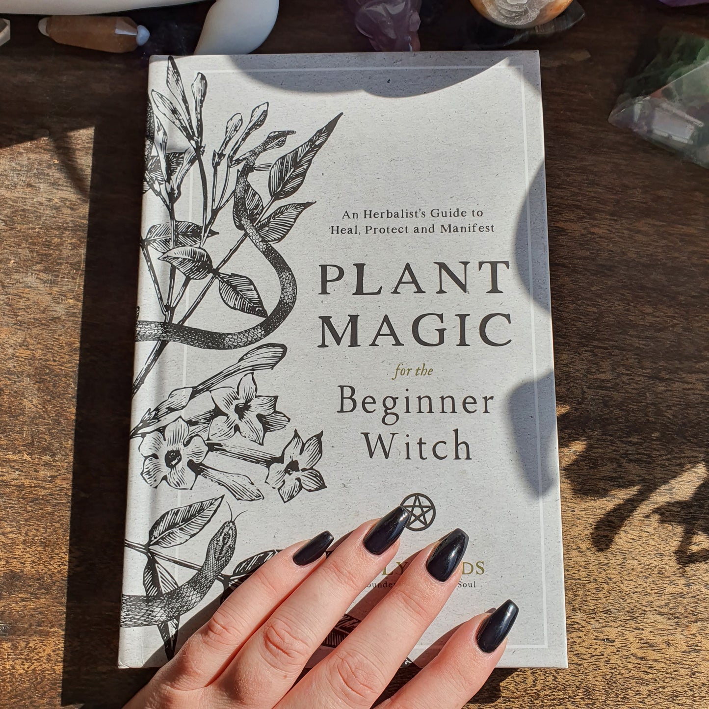 Plant Magic For The Beginner Witch