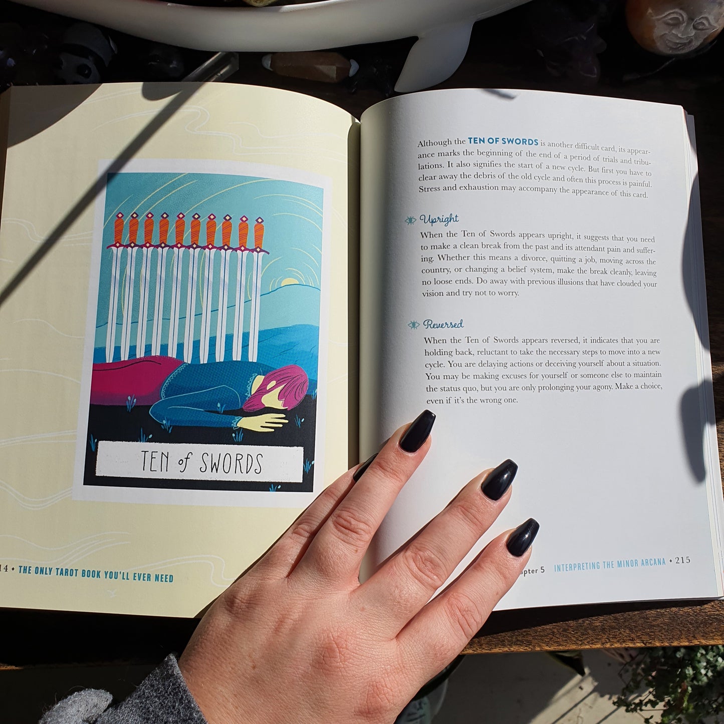 The Only Tarot Book You'll Ever Need