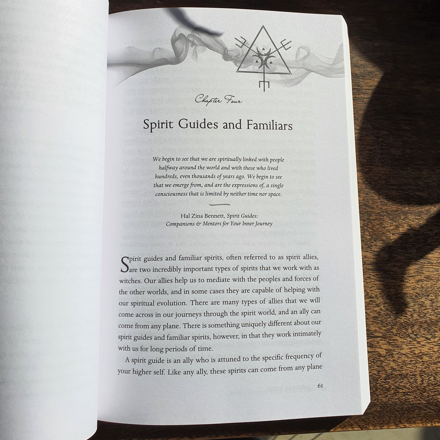 The Witch's Book Of Spirits