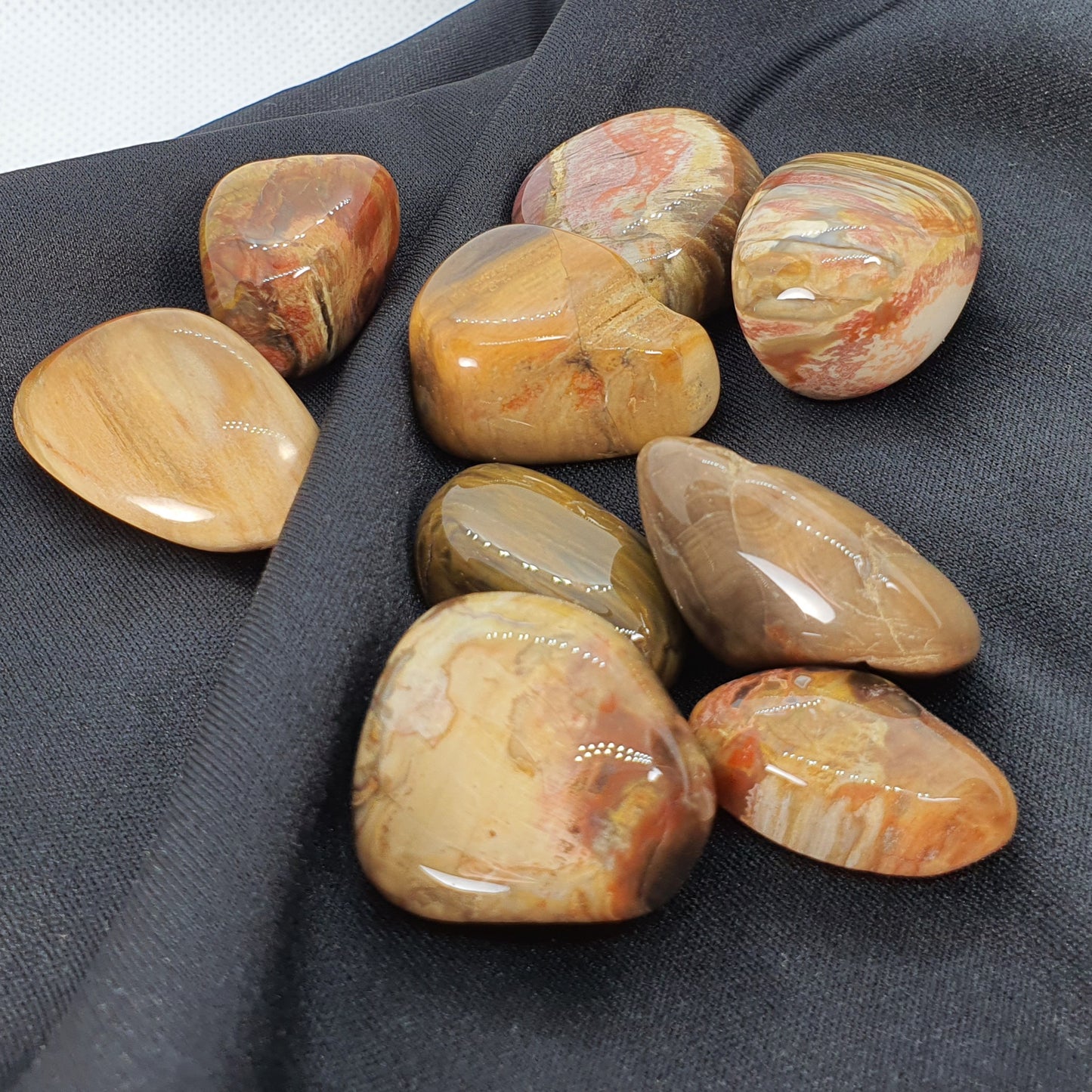 Crystals - Petrified Wood Tumbled Stone