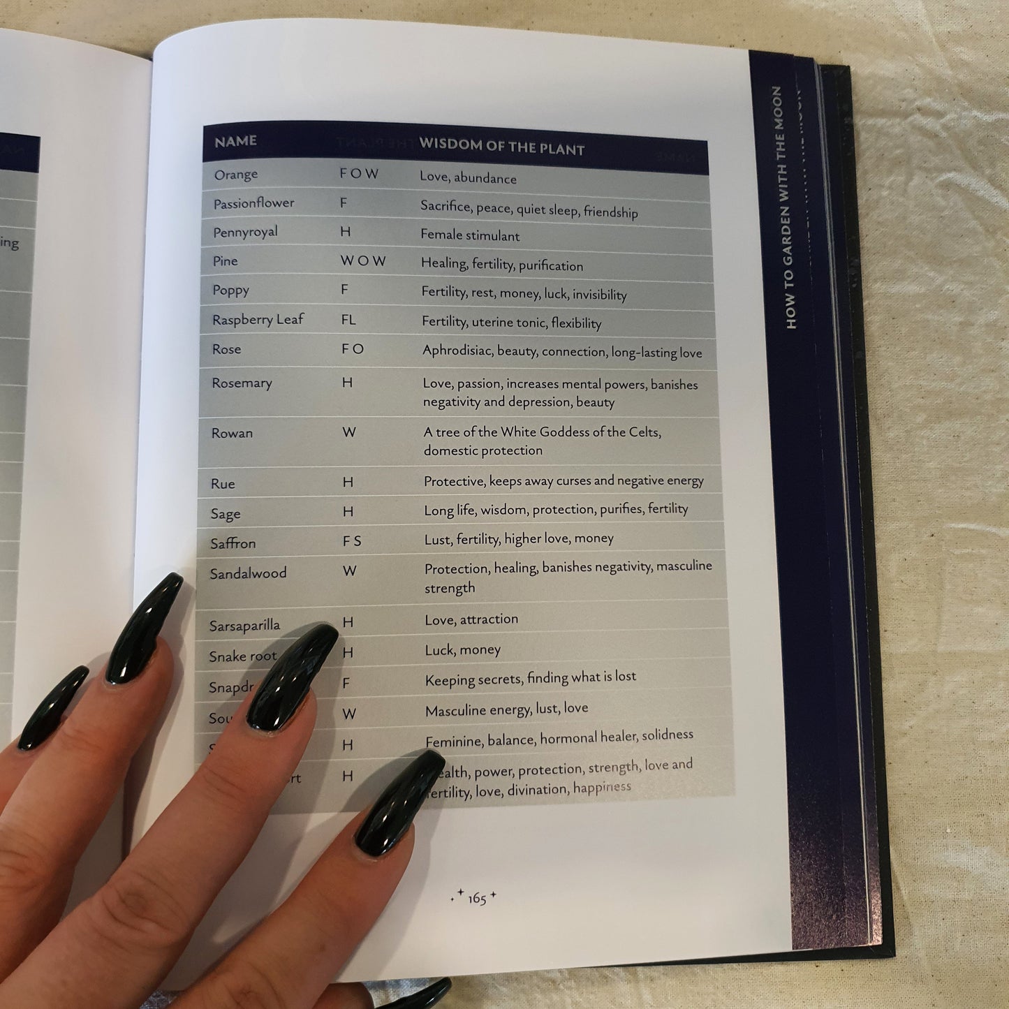 Enchanted Moon: The Ultimate Book of Lunar Magic