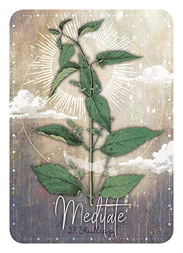 Magickal Herb Oracle