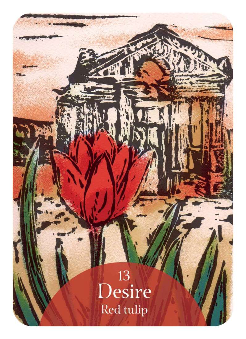 The Language of Flowers Oracle