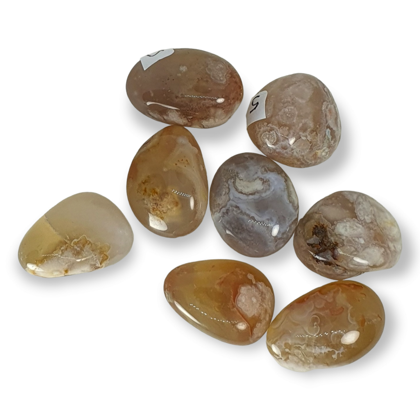 Crystals - Agate (Flower Agate) Tumbled Stone