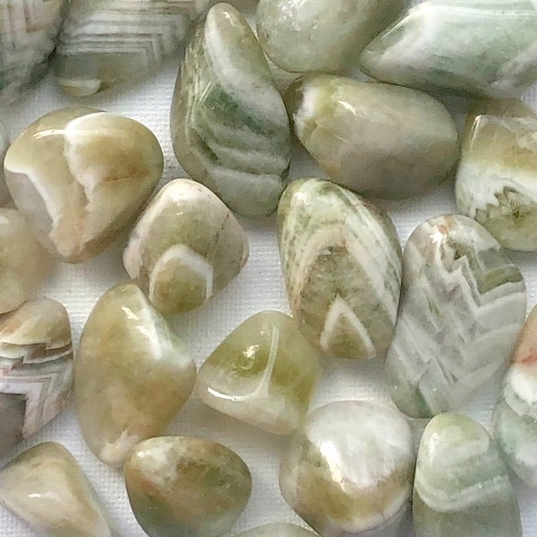 Crystals - Prasiolite (Amegreen) Tumbled Stone