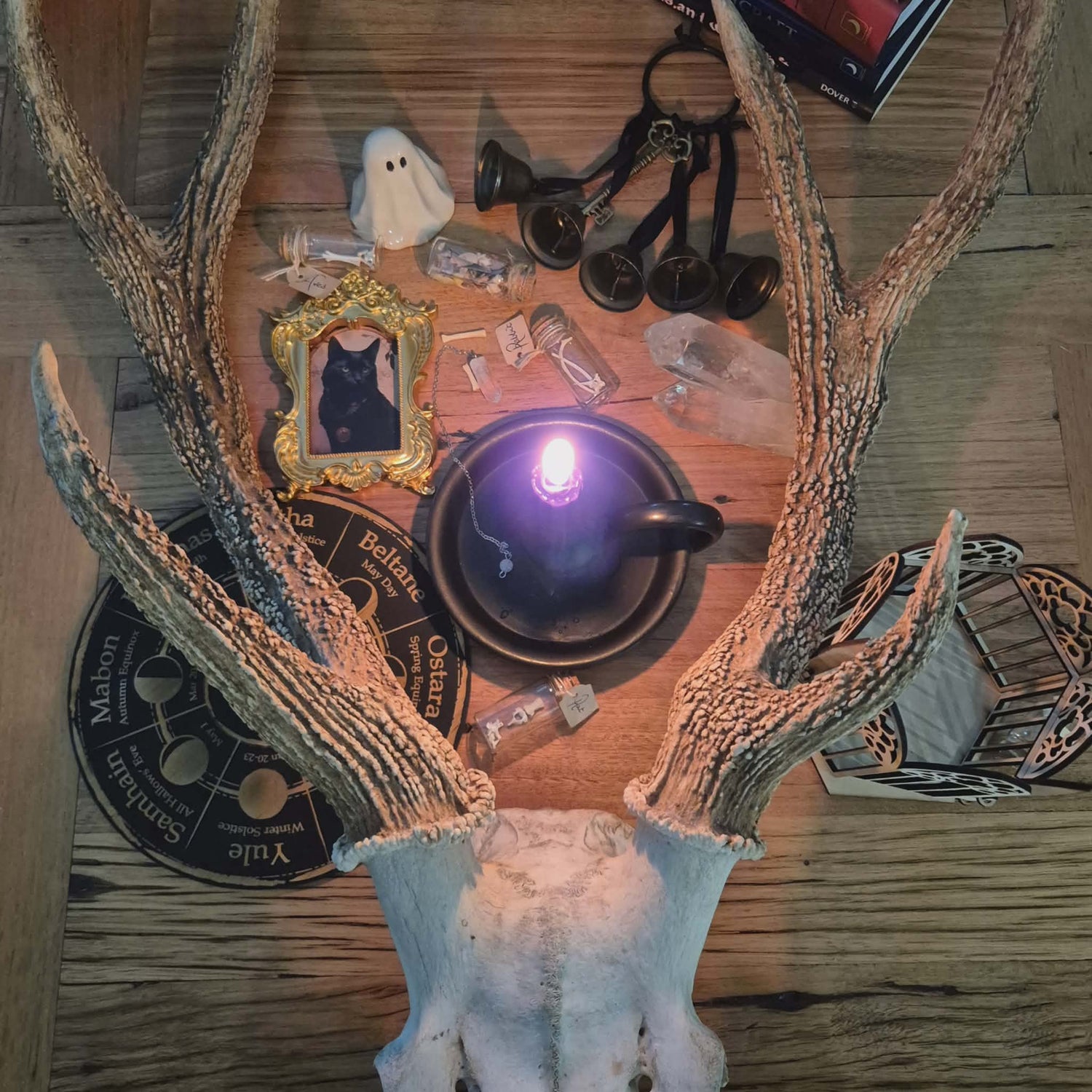 Oddities & Gothic Things