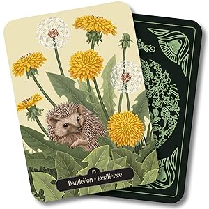 Kate Forsyth's Hedgewitch Oracle