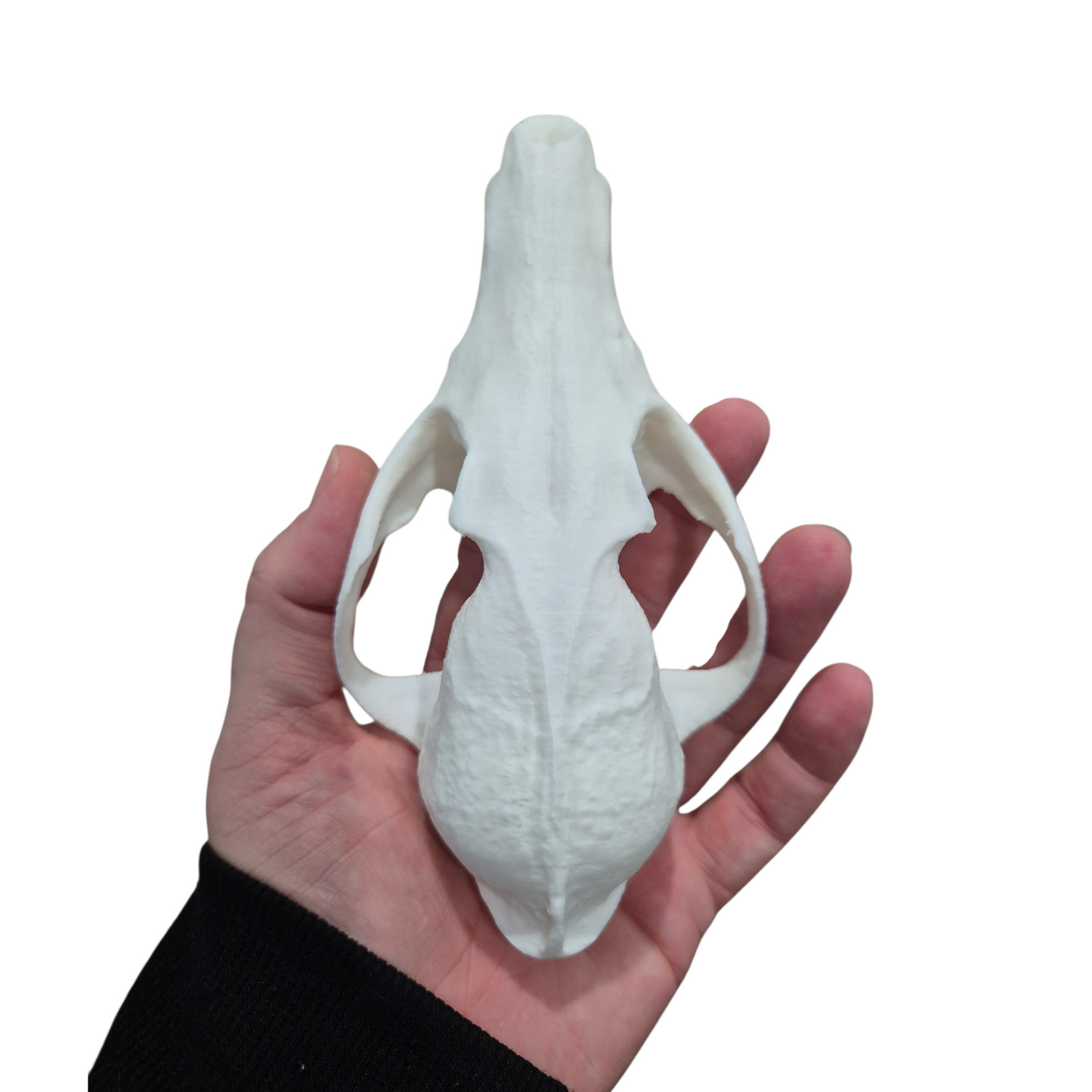 Skull - 3D Printed Fox - Lge